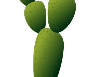 Hrnkový marocký rajčatový guláš se smaženými cuketami