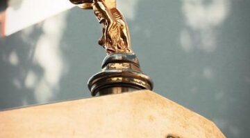 Fried spring rolls – Frickní rolky zapečené