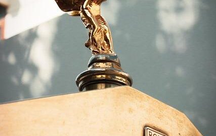 Fried spring rolls – Frickní rolky zapečené