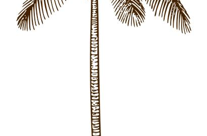 Kokosová těstovina s cizrna