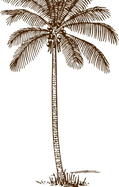 Kokosová těstovina s cizrna