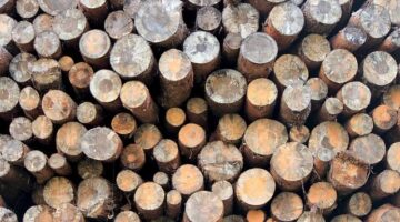 Koor-Tlas (kuřecí roláda s rýží)