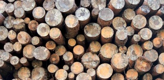 Koor-Tlas (kuřecí roláda s rýží)