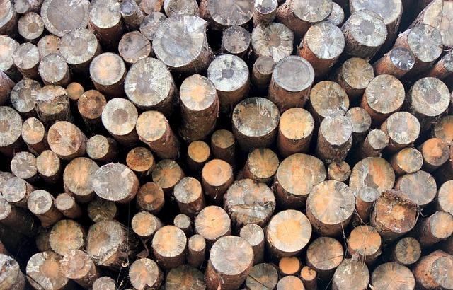 Koor-Tlas (kuřecí roláda s rýží)