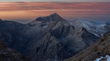 Říze ve šťavnaté omáčce s bazalkou