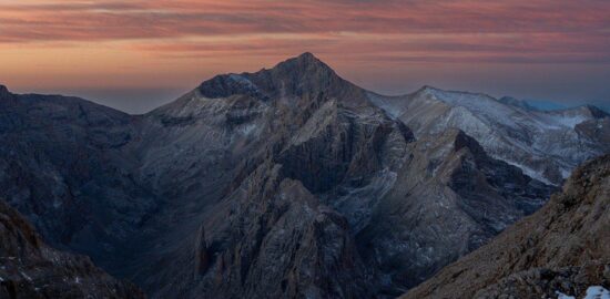Říze ve šťavnaté omáčce s bazalkou