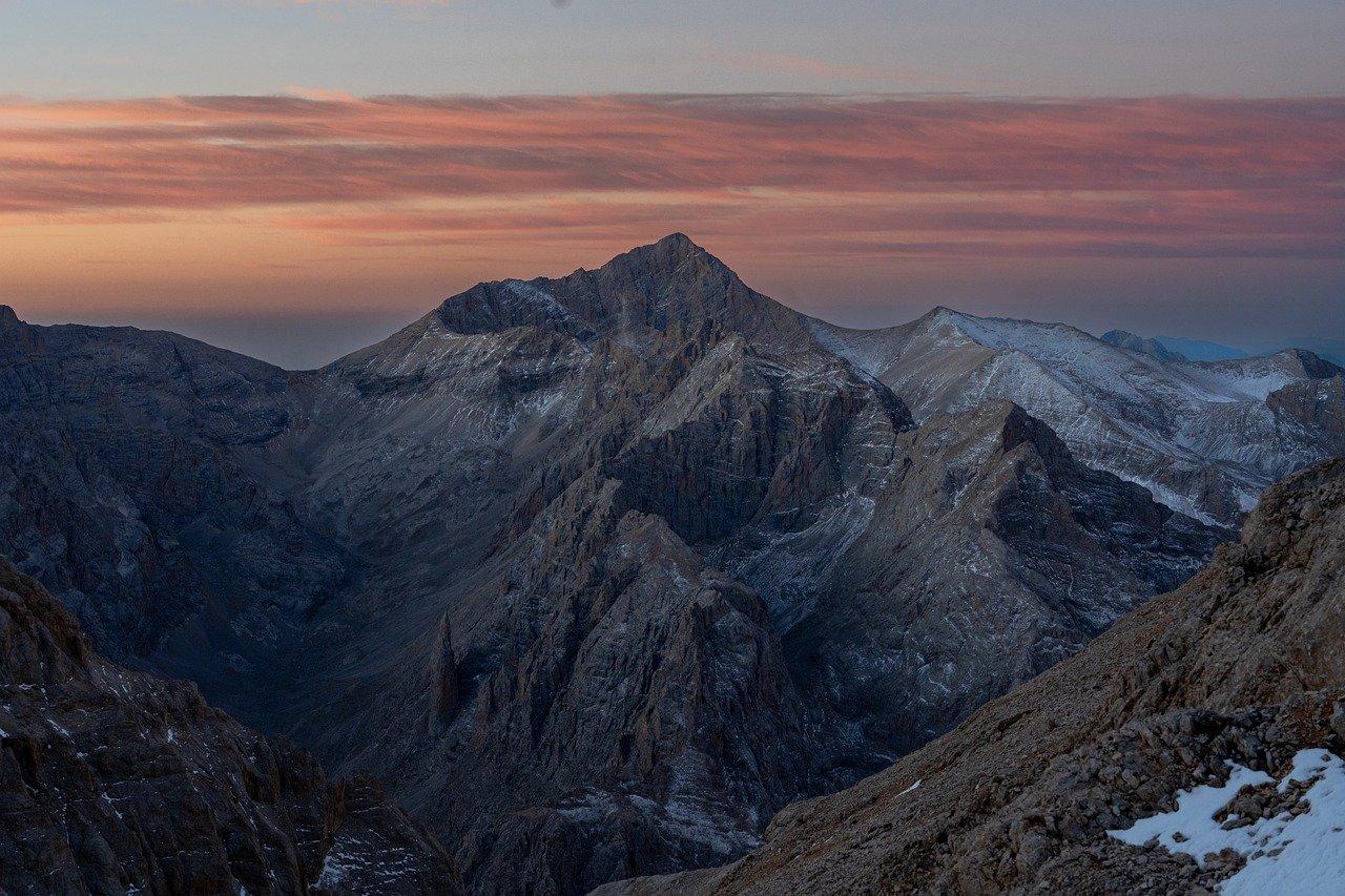 Říze ve šťavnaté omáčce s bazalkou