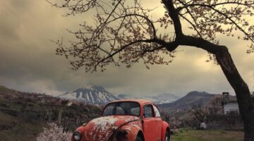 Krejcar z hrušek s karamelovou polevou