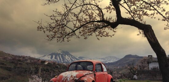 Krejcar z hrušek s karamelovou polevou