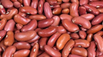 Červené fazole s rajčaty