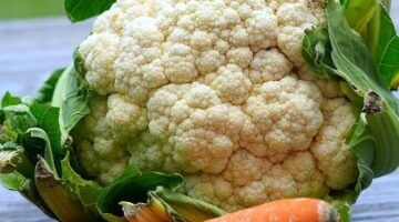 Květákové kousky s houbovou omáčkou