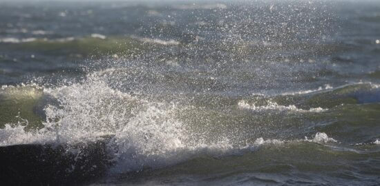 Kari z červené čočky s kalamáry