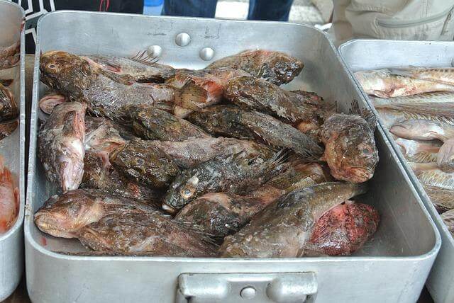 Bouillabaisse na provensálský způsob