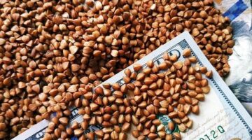 Pohanka s grilovaným tofu a zeleninou