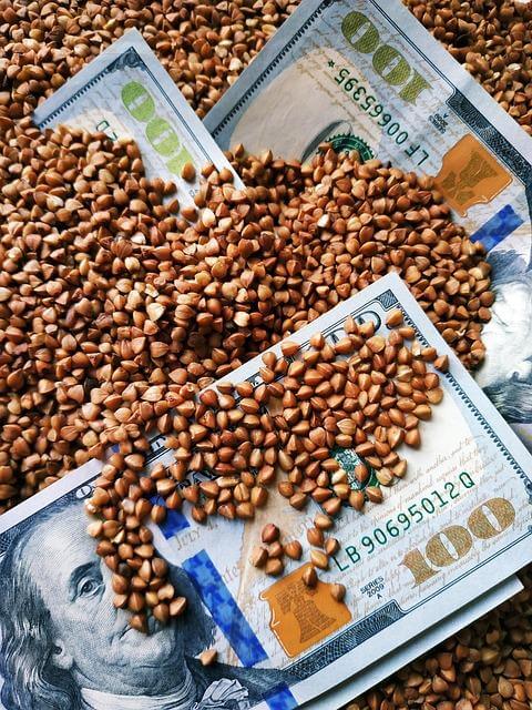 Pohanka s grilovaným tofu a zeleninou