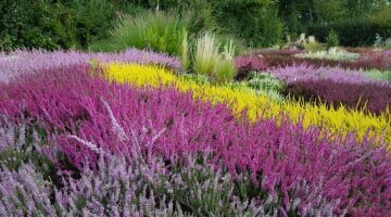 Pohanský guláš s kroupami