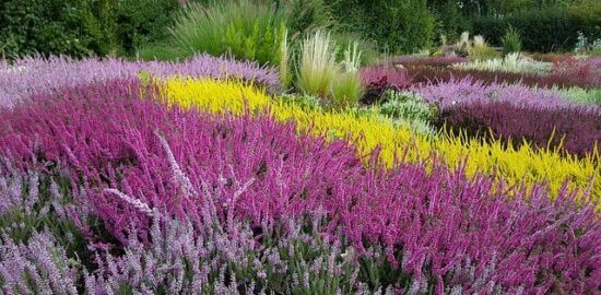 Pohanský guláš s kroupami