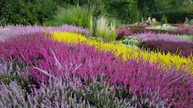 Pohanský guláš s kroupami