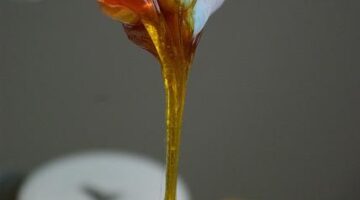 Pasta carbonara Semic coaching