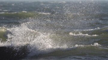 Kari z cukety a brambor