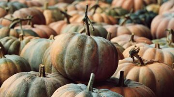 Dýňová jehňata s kari