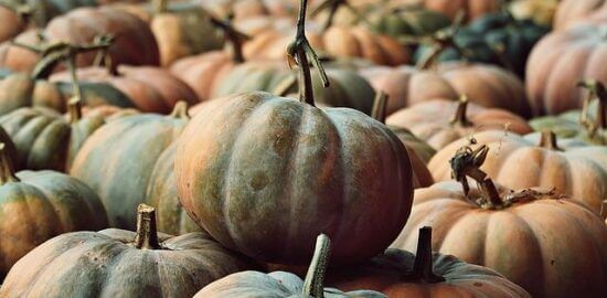 Dýňová jehňata s kari