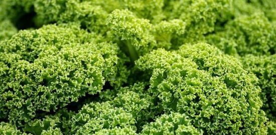 Veganské brownies s avokádem