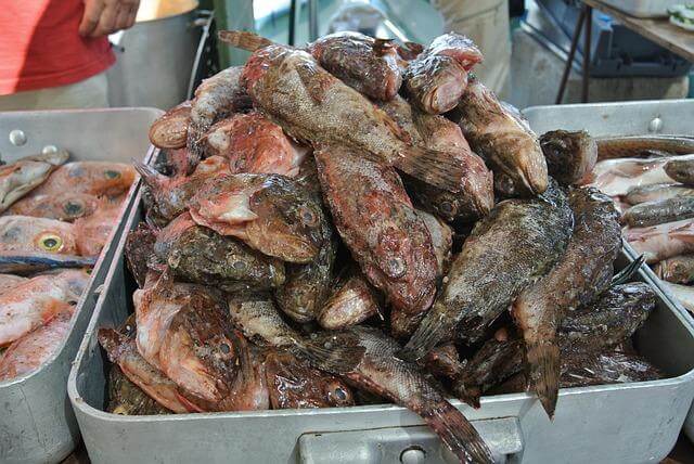 Bouillabaisse – Provensálská rybí polévka