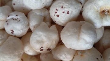 Murgh Makhani masala kořeněné kuře