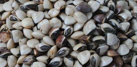 Zapečené brambory s brokolicí a sýrem