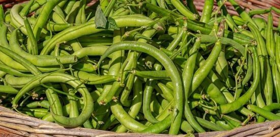 Fazole s křupavým vepřovým masem