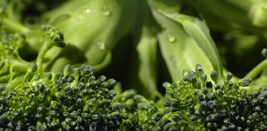 Vegetariánské zelné placky s jogurtem