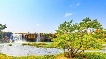 Dak galbi – pikantní kuřecí maso