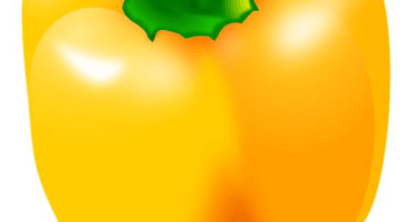 Plněná irácká paprika