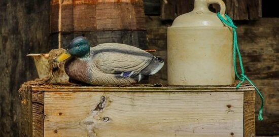 Cajun kuře s kukuřicí a rýží