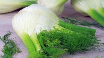 Vegetariánské lasagne s čerstvými rajčaty