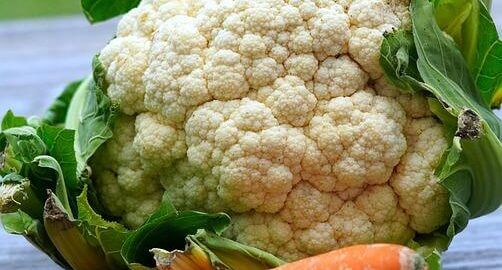 Květákové šaláty s hummusem