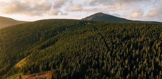 Krkonošský pstruh s bylinkami