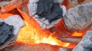 Bůček se sušenými švestkami a rýží