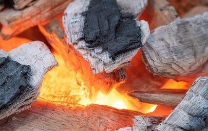 Bůček se sušenými švestkami a rýží