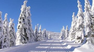 Krkonošské kyselo s vejcem