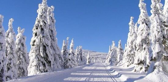 Krkonošské kyselo s vejcem