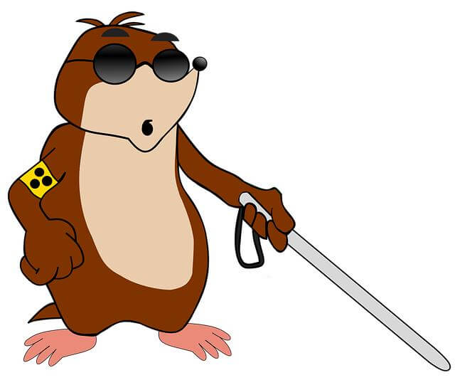 Slepé kurčecí žeberko s dietním pepřem