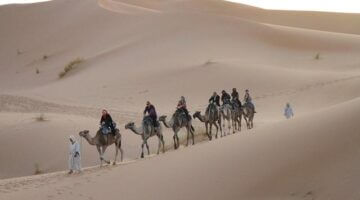 Marocká harissa kuře pečené s citronem