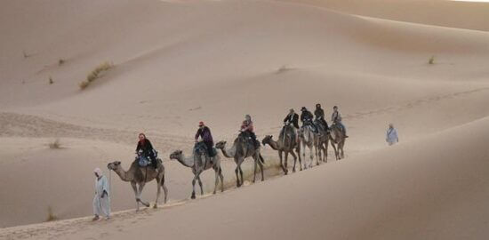 Marocká harissa kuře pečené s citronem