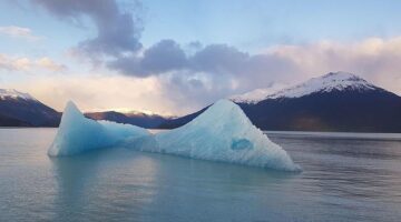Argentinské hovězí asado na grilu
