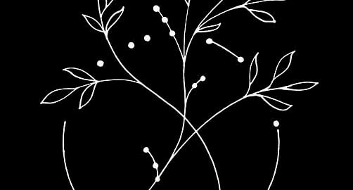 Jednoduchá cizrnová polévka s těstovinami