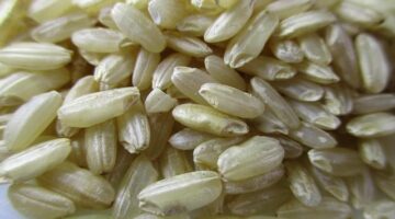 Risotto s houbami asparágus