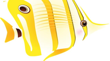 Ryba miso šneci a wasabi