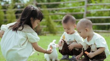 Králičí guláš s bramborami